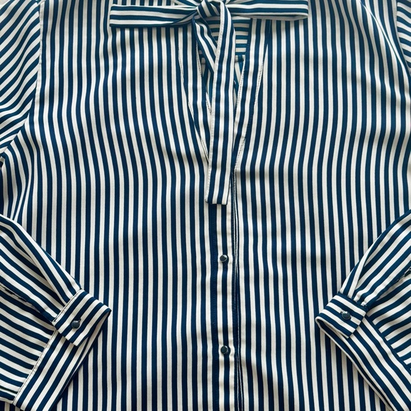 Zara Striped Long Sleeve Blouse (Size L) - Picture 3 of 5